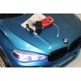   Rivertoys BMW X6M JJ2168  