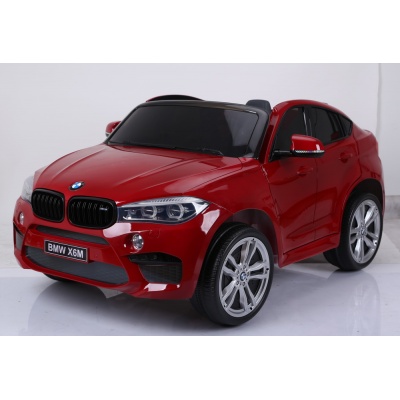  Barty BMW X6M -      - "  "