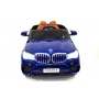   Rivertoys BMW X5 E002KX  