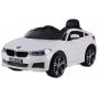   Rivertoys BMW6 GT JJ2164 