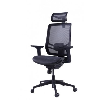    GT Chair InFlex M -      - "  "