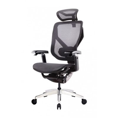    GT Chair VIDA X -      - "  "