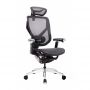    GT Chair VIDA X