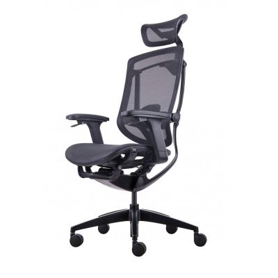    GT Chair InFlex X -      - "  "