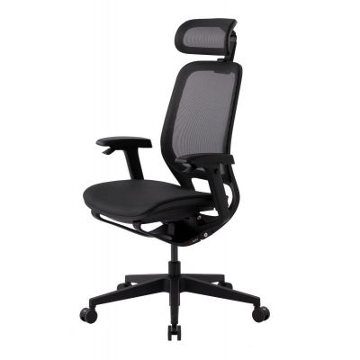   GT Chair NEOSEAT X -      - "  "