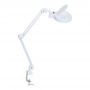 -  - 9001LED (9001LED)