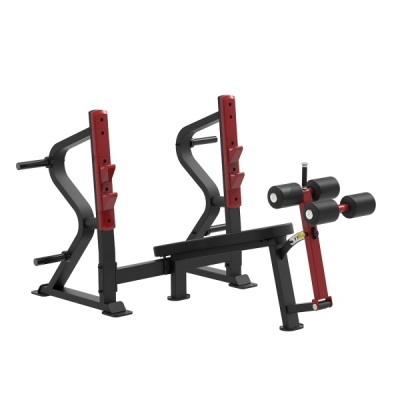      AeroFIT SL7030 -      - "  "